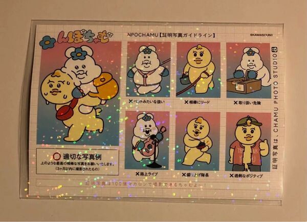 んぽちゃむ 証明写真