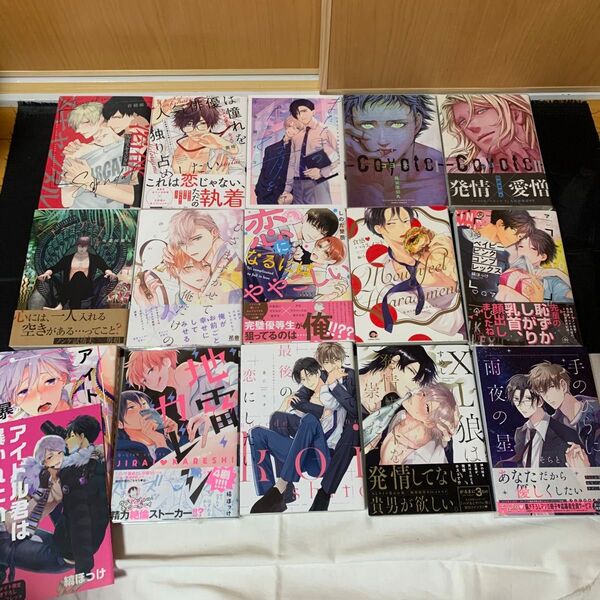 【バラ売りOK】 1冊100円+送料200円〜 BL漫画 【まとめ売り】