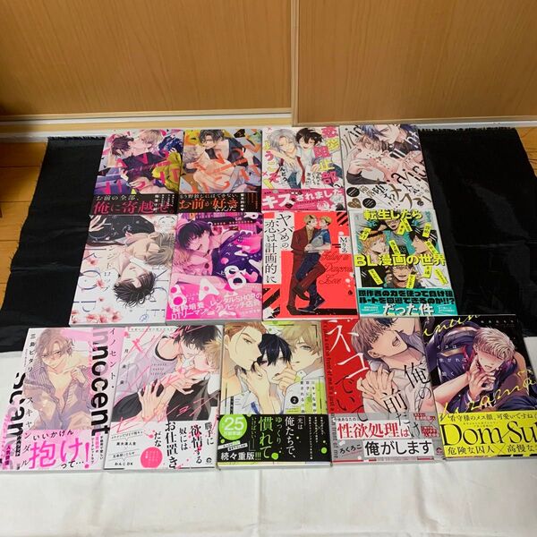 【バラ売りOK】 1冊100円+送料200円〜 BL漫画 【まとめ売り】