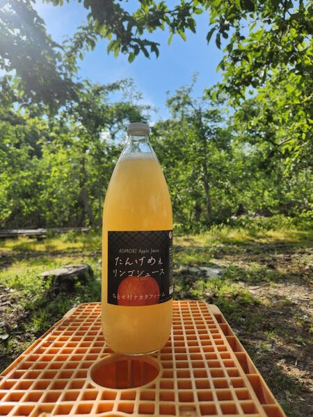 完熟りんごジュース 青森県弘前市農家産直 1L6本入り無添加