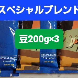KALDIカルディ スペシャルブレンド コーヒー豆200g × 3