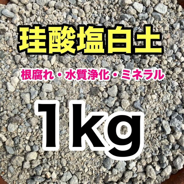 珪酸塩白土 1kg ソフトシリカ 珪酸塩白土