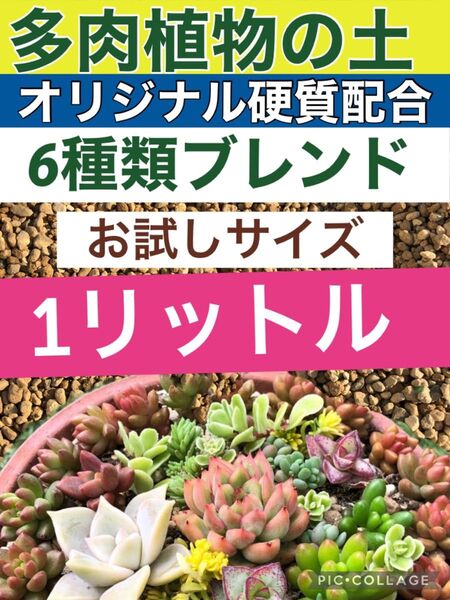 多肉植物の1リットル アガベ塊根エケベリアサボテンの土