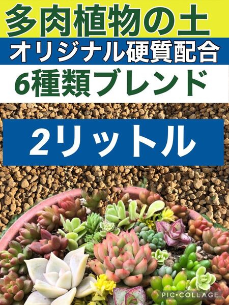 多肉植物の土2リットル アガベ塊根エケベリアサボテンの土