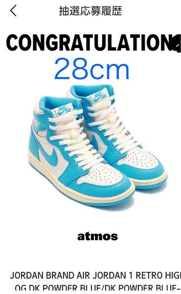 NIKE AIR JORDAN 1 RETRO HIGH OG "Dark Powder Blue" 28cm