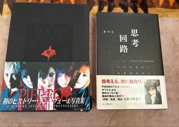 PIERROT PROCESS インタビュー&写真集 思考回路 キリト エッセイ集 ピエロ ヴィジュアル系バンド