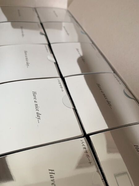 バイオサポート 外箱無し小箱 10箱