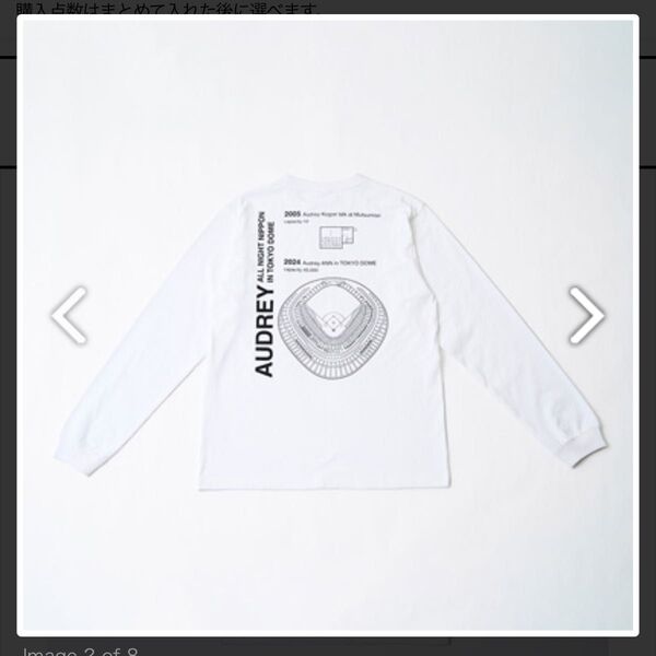 オードリーオールナイトニッポン 東京ドーム ロングTシャツ XL