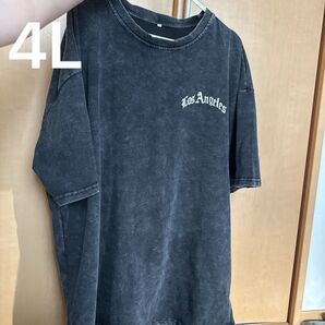レディース メンズ Tシャツ 半袖 中袖 ストリート系 アメカジ 古着風 90sビンテージ風