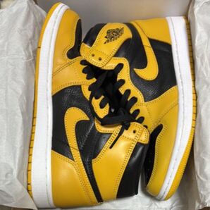 Nike Air Jordan 1 High OG "Pollen