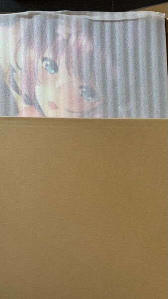 戦国†恋姫EX弐×真・恋姫†英雄譚 F6キャンバスアート