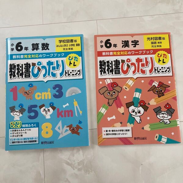 教科書ぴったりトレーニング算数小学6年 漢字 問題集