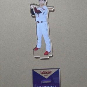 楽天イーグルス アクリルスタンド 宗山塁選手