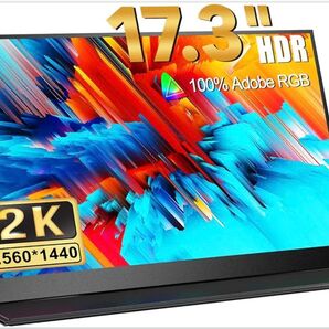 【訳あり】モバイルモニター 17.3インチ 2560x1440 非光沢パネル