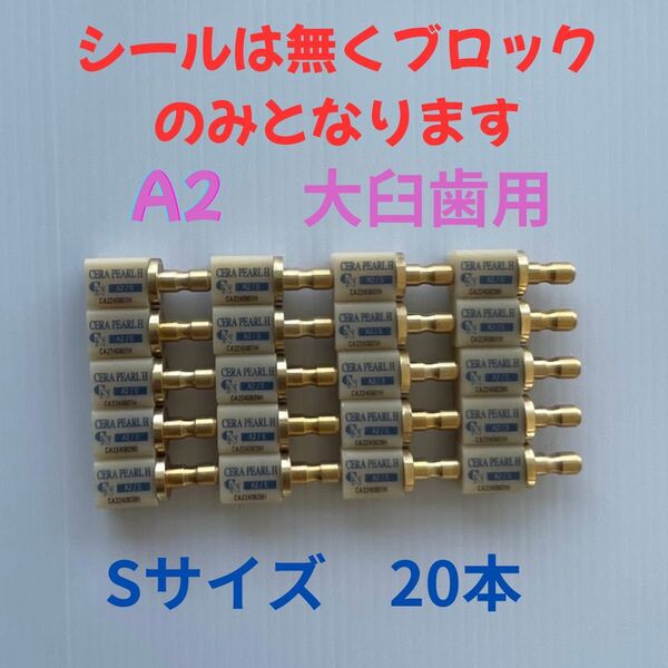 CADブロック 大臼歯 A2 Sサイズ 20本 3