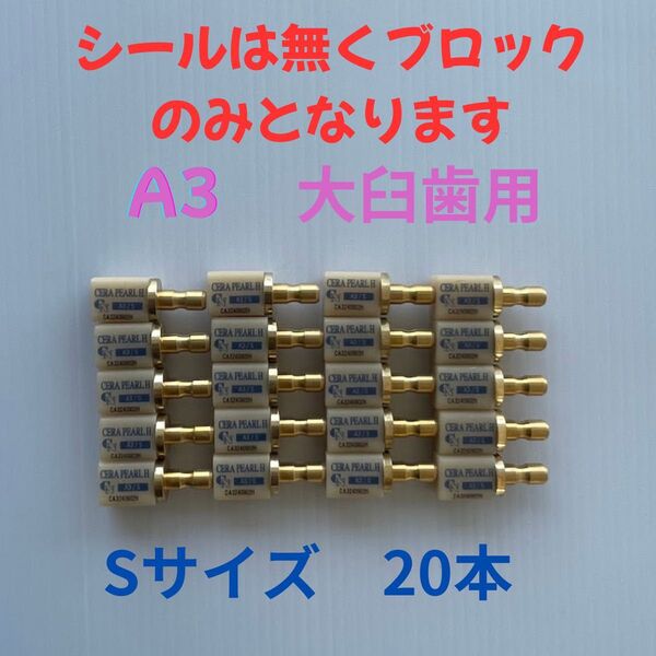 CADブロック 大臼歯 Sサイズ A3