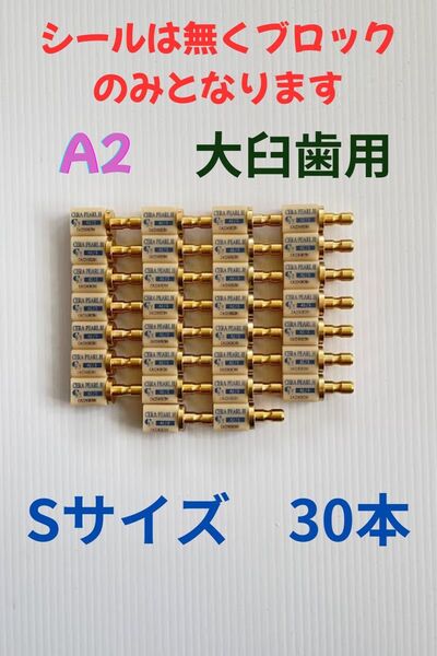 CADブロック 大臼歯 A2 Sサイズ 30本