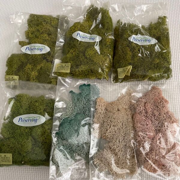 花材 EARTH MATTERS アイスランドモス 7点セット