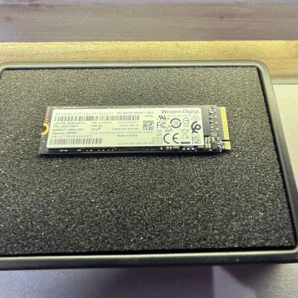 WDC PC SN730 NVMe SSD M.2 2280 256GB 使用時間1301h