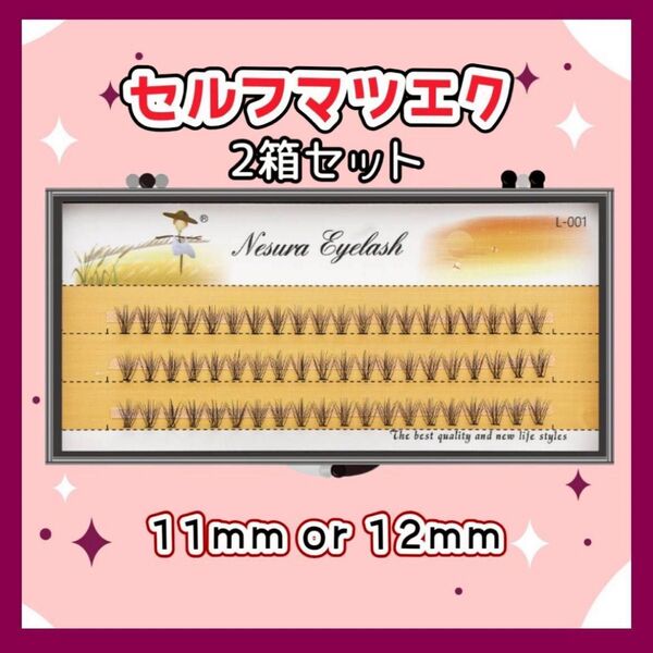 セルフマツエク 2箱セット Nesura L-001 11mm/12mm