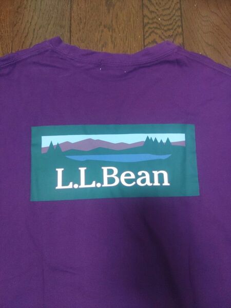 L.L.Bean Tシャツ L 紫 ボックスロゴ
