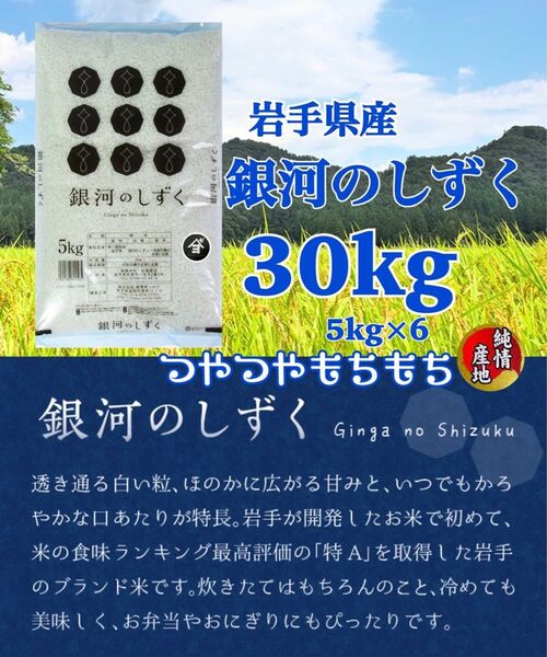 米 白米 精米【岩手県産銀河のしずく30Kg】5kg×6 7年連続特A評価を獲得!白くて艶やかなお米でございます♪