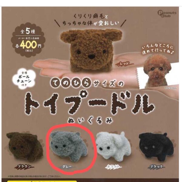 てのひらサイズのトイプードル ぬいぐるみ グレー