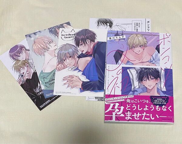 BL 漫画 新刊 ポンコツαの初恋 猫川たら子 リーフレット アニメイト
