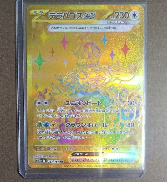 テラパゴスex UR テラスタルフェスex