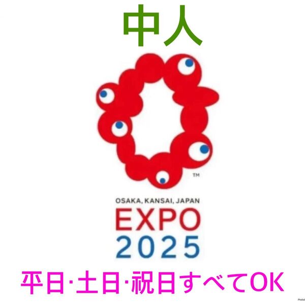 大阪万博 EXPO2025 入場券 中人1日券1枚セット 全日程(平日、週末祝日可能)10/13まで入場可能 チケット