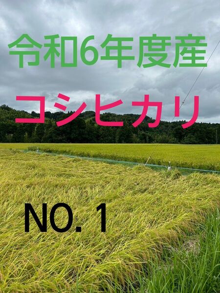 実家の米 令和6年度産コシヒカリ上白精米4.5㎏