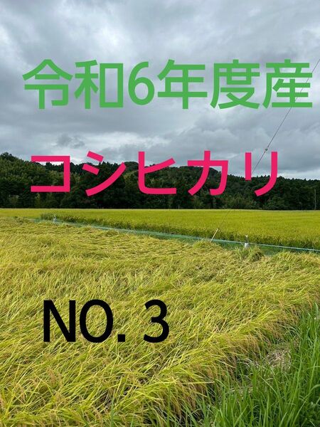 実家の米 令和6年度産コシヒカリ上白精米4.5㎏