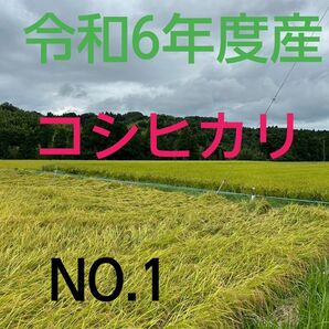 実家の米 令和6年度産コシヒカリ上白精米4.5㎏