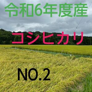 実家の米 令和6年度産コシヒカリ上白精米4.5㎏