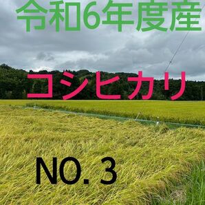 実家の米 令和6年度産コシヒカリ上白精米4.5㎏
