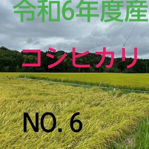 実家の米 令和6年度産コシヒカリ上白精米4.5㎏