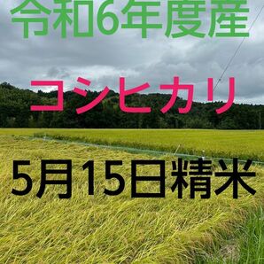 実家の米 令和6年度産コシヒカリ上白精米4.5㎏