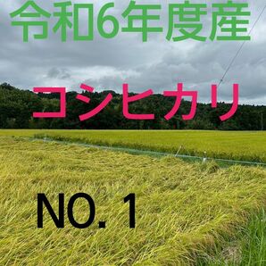 実家の米 令和6年度産コシヒカリ上白精米4.5㎏