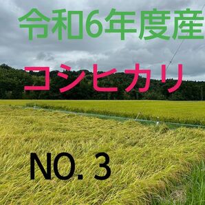 実家の米 令和6年度産コシヒカリ上白精米4.5㎏