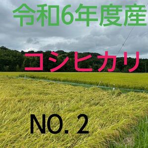 実家の米 令和6年度産コシヒカリ上白精米4.5㎏