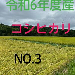 実家の米 令和6年度産コシヒカリ上白精米4.5㎏