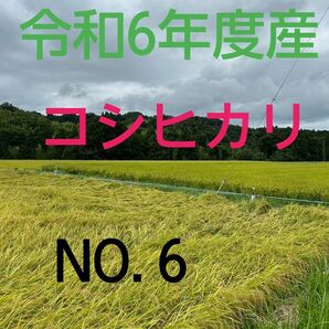 実家の米 令和6年度産コシヒカリ上白精米4.5㎏