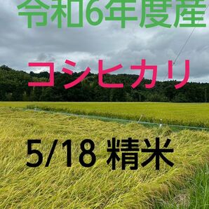 実家の米 令和6年度産コシヒカリ上白精米4.5㎏