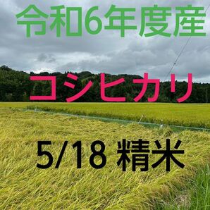 実家の米 令和6年度産コシヒカリ上白精米4.5㎏