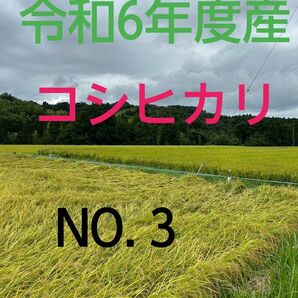 実家の米 令和6年度産コシヒカリ上白精米4.5㎏