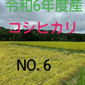 実家の米 令和6年度産コシヒカリ上白精米4.5㎏