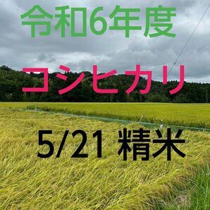 実家の米 令和6年度産コシヒカリ上白精米4.5㎏