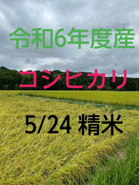 実家の米 令和6年度産コシヒカリ上白精米4.5㎏