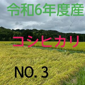 実家の米 令和6年度産コシヒカリ上白精米4.5㎏