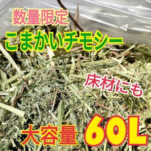 【大容量・お得】こまかめ チモシー 60L